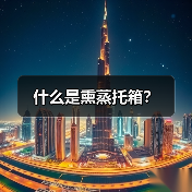 什么是熏蒸托箱？（图1）