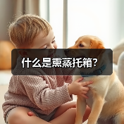 什么是熏蒸托箱？（图4）