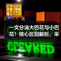 一文分清大巴花与小巴花！核心区别解析，采购避坑必看（图1）
