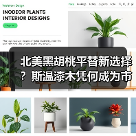 北美黑胡桃平替新选择？斯温漆木凭何成为市场新宠（图4）