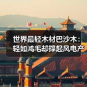 世界最轻木材巴沙木：轻如鸿毛却撑起风电产业半边天（图3）