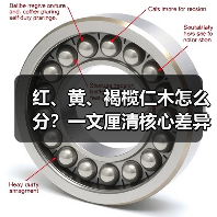红、黄、褐榄仁木怎么分?一文厘清核心差异与应用边界(图3) 红、黄、褐榄仁木怎么分?一文厘清核心差异与应用边界(图3)