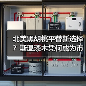 北美黑胡桃平替新选择?斯温漆木凭何成为市场新宠(图1) 北美黑胡桃平替新选择?斯温漆木凭何成为市场新宠(图1)