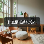什么是熏蒸托箱？（图4）