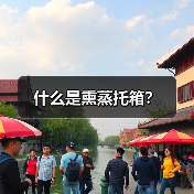 什么是熏蒸托箱？（图3）