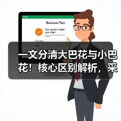 一文分清大巴花与小巴花!核心区别解析,采购避坑必看(图4) 一文分清大巴花与小巴花!核心区别解析,采购避坑必看(图4)
