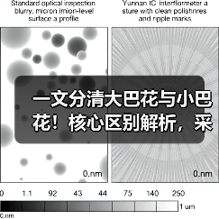 一文分清大巴花与小巴花!核心区别解析,采购避坑必看(图3) 一文分清大巴花与小巴花!核心区别解析,采购避坑必看(图3)