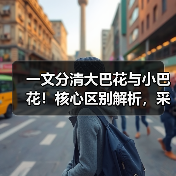 一文分清大巴花与小巴花!核心区别解析,采购避坑必看(图2) 一文分清大巴花与小巴花!核心区别解析,采购避坑必看(图2)