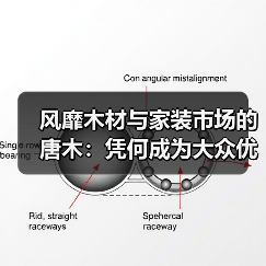 风靡木材与家装市场的唐木：凭何成为大众优选材种？（图2）