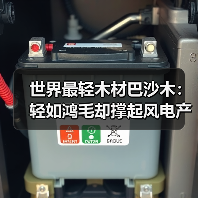 世界最轻木材巴沙木：轻如鸿毛却撑起风电产业半边天（图1）
