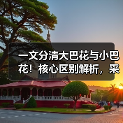 一文分清大巴花与小巴花！核心区别解析，采购避坑必看（图4）
