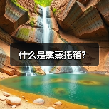 什么是熏蒸托箱?(图3) 什么是熏蒸托箱?(图3)