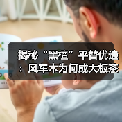 揭秘“黑檀”平替优选:风车木为何成大板茶桌高端材质新宠?(图4) 揭秘“黑檀”平替优选:风车木为何成大板茶桌高端材质新宠?(图4)
