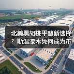 北美黑胡桃平替新选择？斯温漆木凭何成为市场新宠（图3）