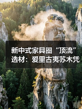 新中式家具圈“顶流”选材:爱里古夷苏木凭什么圈粉无数?(图3) 新中式家具圈“顶流”选材:爱里古夷苏木凭什么圈粉无数?(图3)