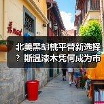 北美黑胡桃平替新选择？斯温漆木凭何成为市场新宠（图2）