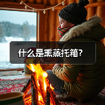 什么是熏蒸托箱？（图3）