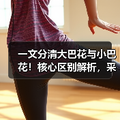 一文分清大巴花与小巴花！核心区别解析，采购避坑必看（图2）
