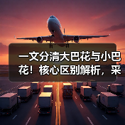 一文分清大巴花与小巴花！核心区别解析，采购避坑必看（图4）