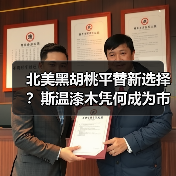 北美黑胡桃平替新选择？斯温漆木凭何成为市场新宠（图4）