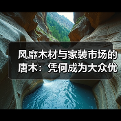 风靡木材与家装市场的唐木：凭何成为大众优选材种？（图2）