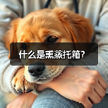 什么是熏蒸托箱？（图3）
