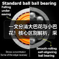 一文分清大巴花与小巴花！核心区别解析，采购避坑必看（图1）