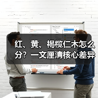 红、黄、褐榄仁木怎么分？一文厘清核心差异与应用边界（图3）