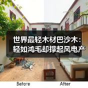 世界最轻木材巴沙木：轻如鸿毛却撑起风电产业半边天（图2）