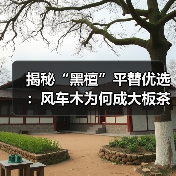 揭秘“黑檀”平替优选：风车木为何成大板茶桌高端材质新宠？（图3）