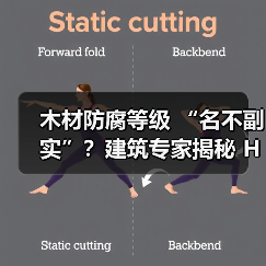 木材防腐等级 “名不副实”？建筑专家揭秘 H3 失效背后的设计危机（图4）