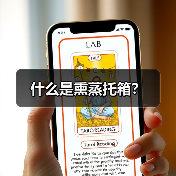 什么是熏蒸托箱？（图3）