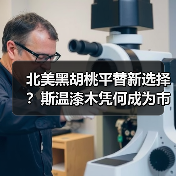 北美黑胡桃平替新选择？斯温漆木凭何成为市场新宠（图3）