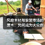 风靡木材与家装市场的唐木：凭何成为大众优选材种？（图3）