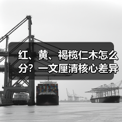 红、黄、褐榄仁木怎么分？一文厘清核心差异与应用边界（图4）