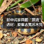 新中式家具圈“顶流”选材：爱里古夷苏木凭什么圈粉无数？（图4）