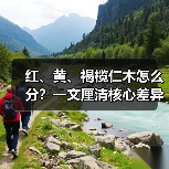红、黄、褐榄仁木怎么分？一文厘清核心差异与应用边界（图3）