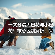 一文分清大巴花与小巴花！核心区别解析，采购避坑必看（图4）