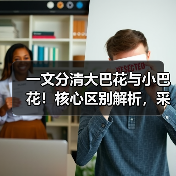 一文分清大巴花与小巴花！核心区别解析，采购避坑必看（图1）