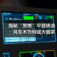 揭秘“黑檀”平替优选：风车木为何成大板茶桌高端材质新宠？（图2）