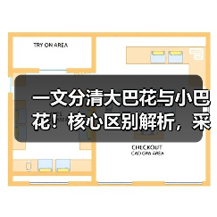 一文分清大巴花与小巴花！核心区别解析，采购避坑必看（图1）