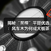 揭秘“黑檀”平替优选：风车木为何成大板茶桌高端材质新宠？（图3）