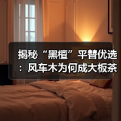 揭秘“黑檀”平替优选：风车木为何成大板茶桌高端材质新宠？（图2）