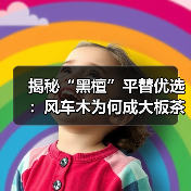 揭秘“黑檀”平替优选：风车木为何成大板茶桌高端材质新宠？（图1）