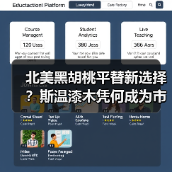 北美黑胡桃平替新选择？斯温漆木凭何成为市场新宠（图4）