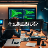 什么是熏蒸托箱？（图4）