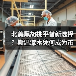 北美黑胡桃平替新选择？斯温漆木凭何成为市场新宠（图2）