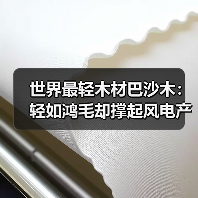世界最轻木材巴沙木：轻如鸿毛却撑起风电产业半边天（图3）