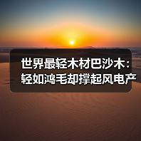 世界最轻木材巴沙木：轻如鸿毛却撑起风电产业半边天（图2）