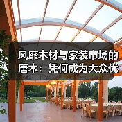 风靡木材与家装市场的唐木：凭何成为大众优选材种？（图3）